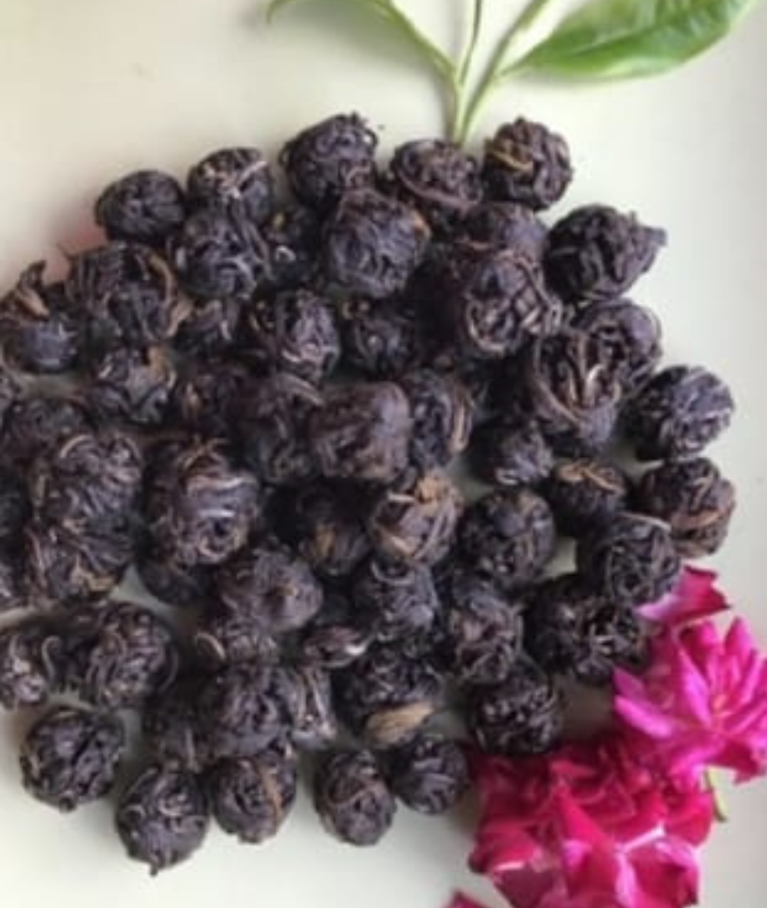 Untitled design (23)